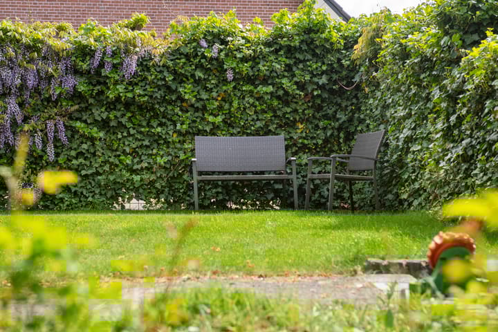 Foto 70 van Steijnweg 19