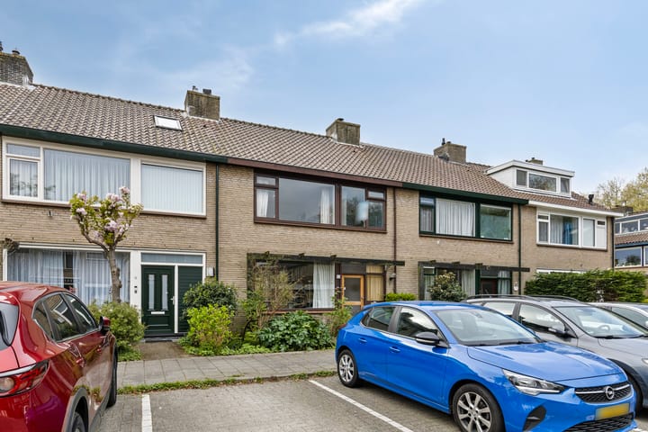 Foto 1 van Leermos 10