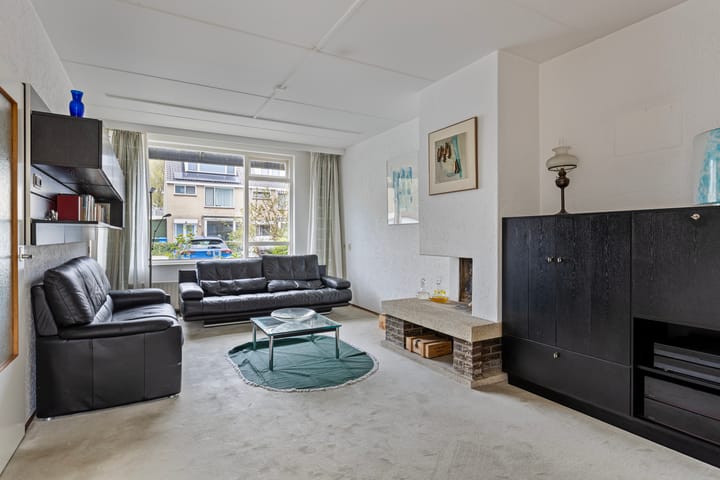 Foto 3 van Leermos 10