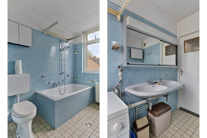 Foto 15 van Leermos 10