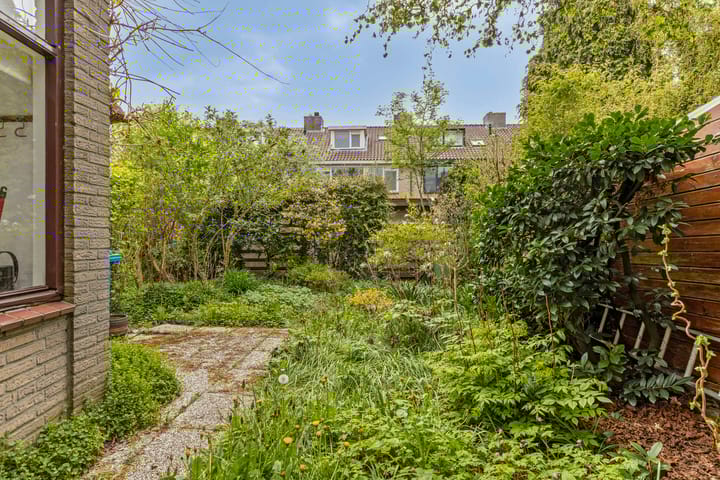 Foto 24 van Leermos 10