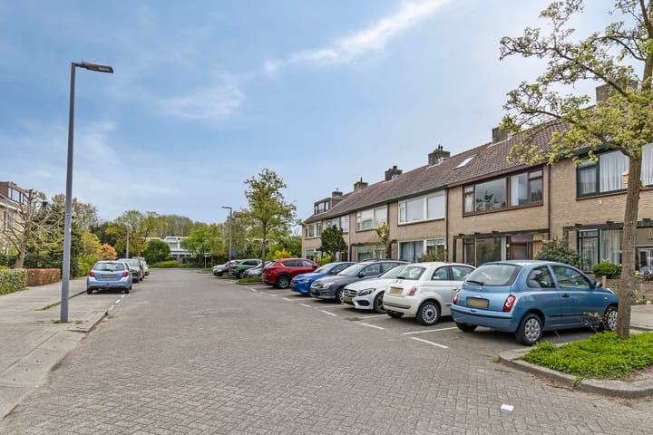 Foto 28 van Leermos 10