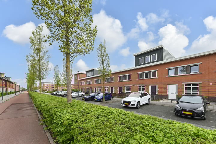 Photo 40 of Tenerife 12