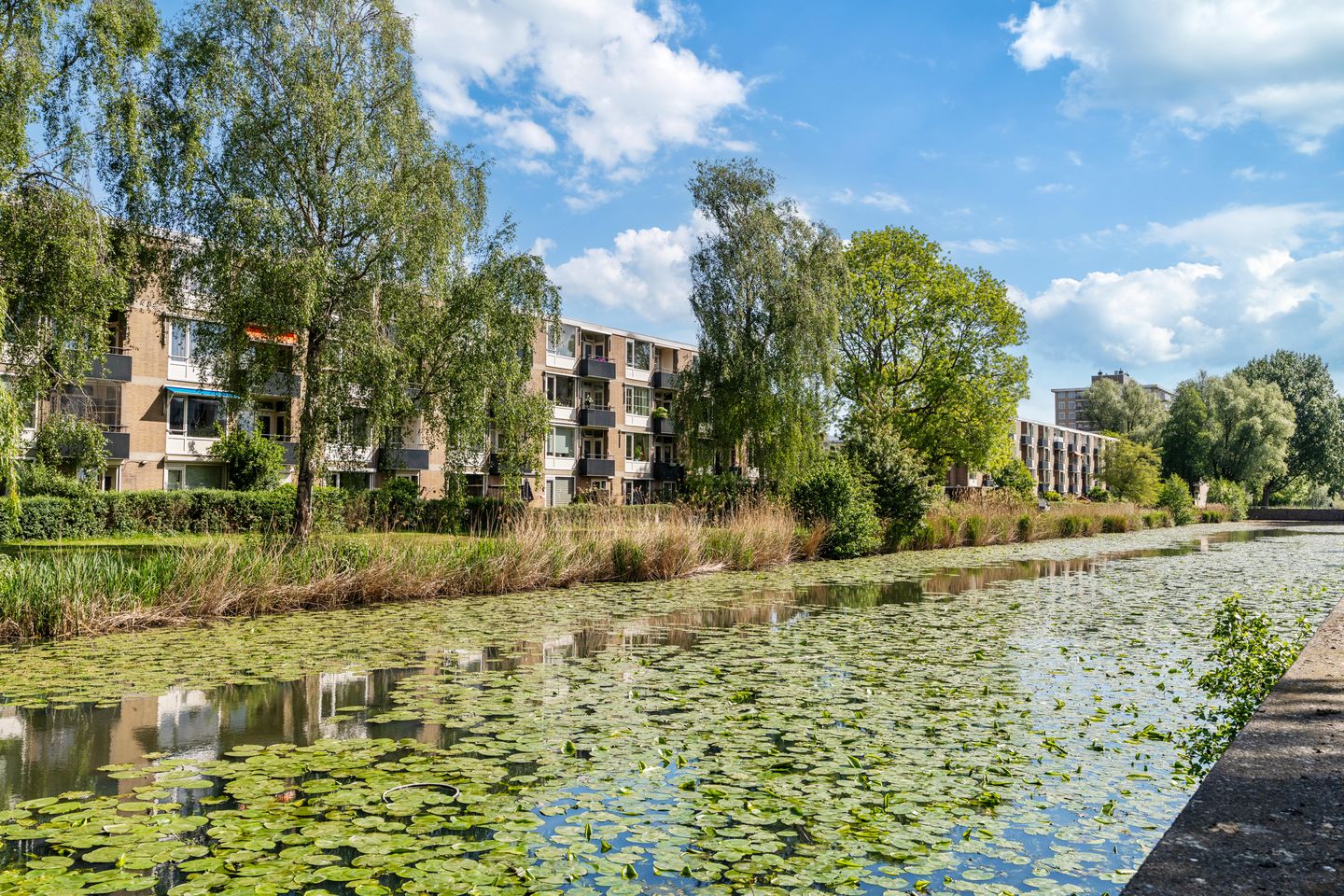 Photo 35 of Frieslandstraat 147