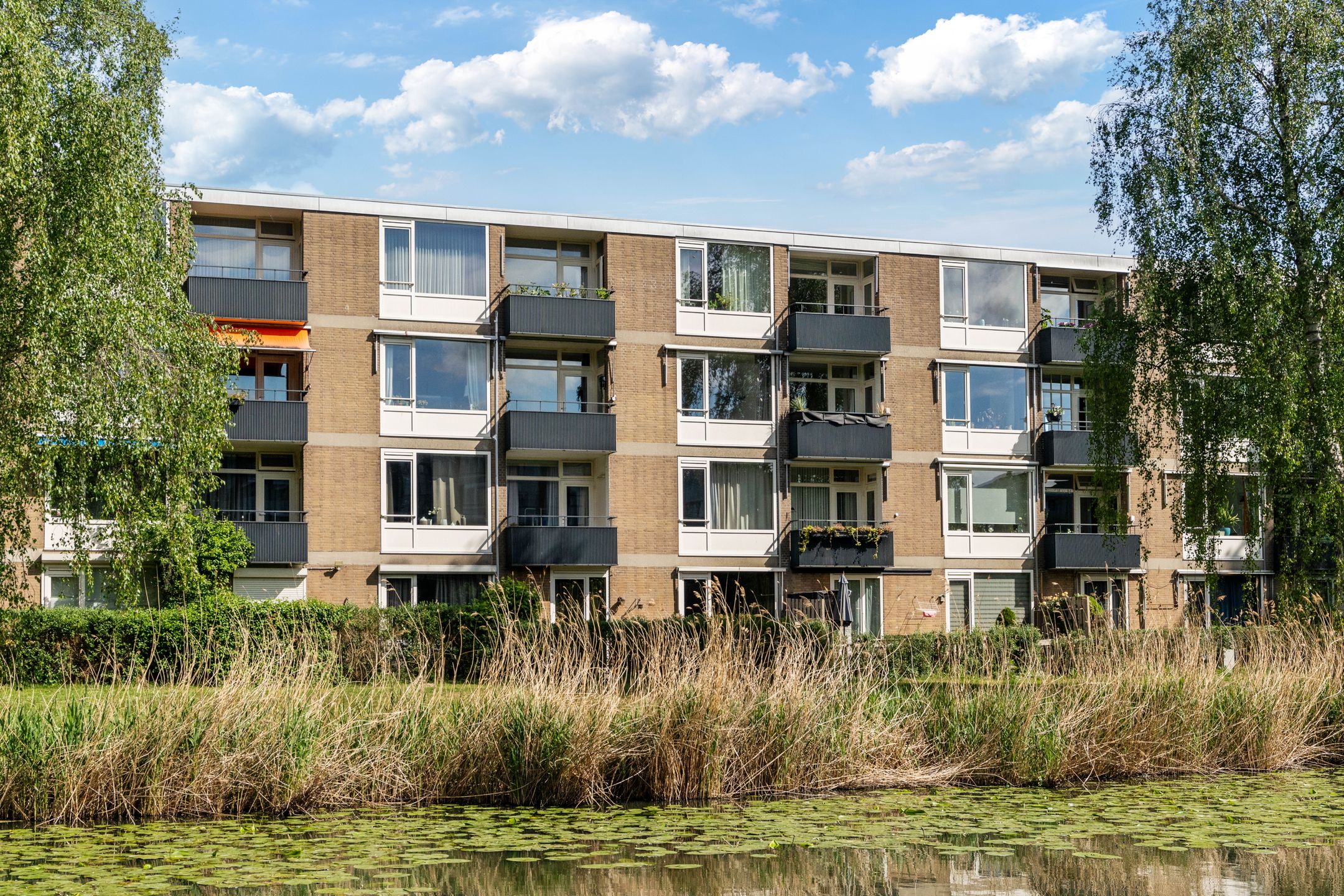 Photo 36 of Frieslandstraat 147