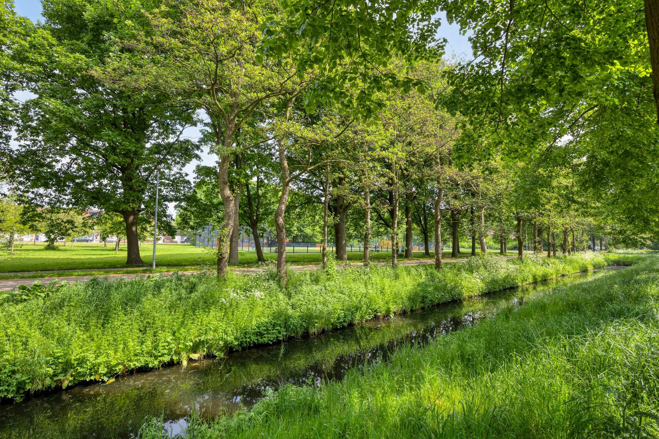 Foto 27 van Grutto 67