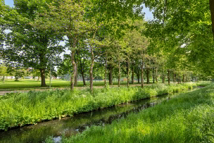 Foto 27 van Grutto 67