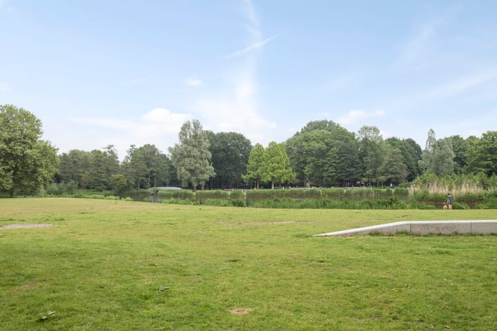 Foto 49 van Orteliusstraat 46-1