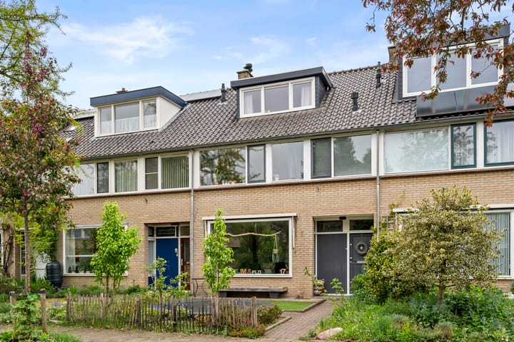 undefined main image