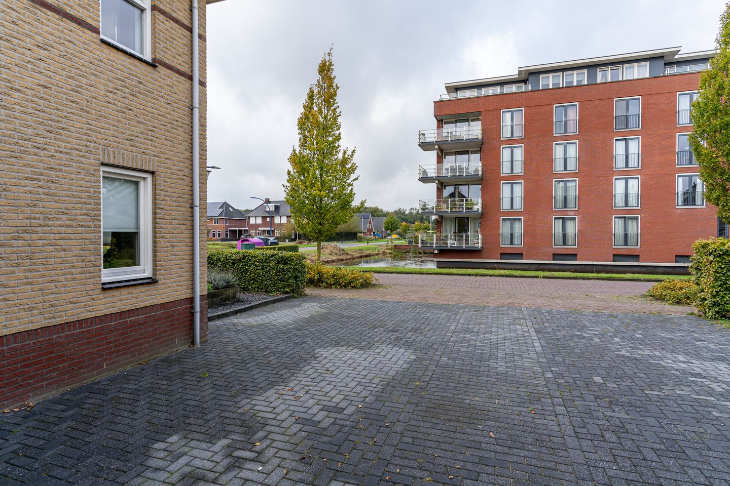 Foto 19 van Delling 2