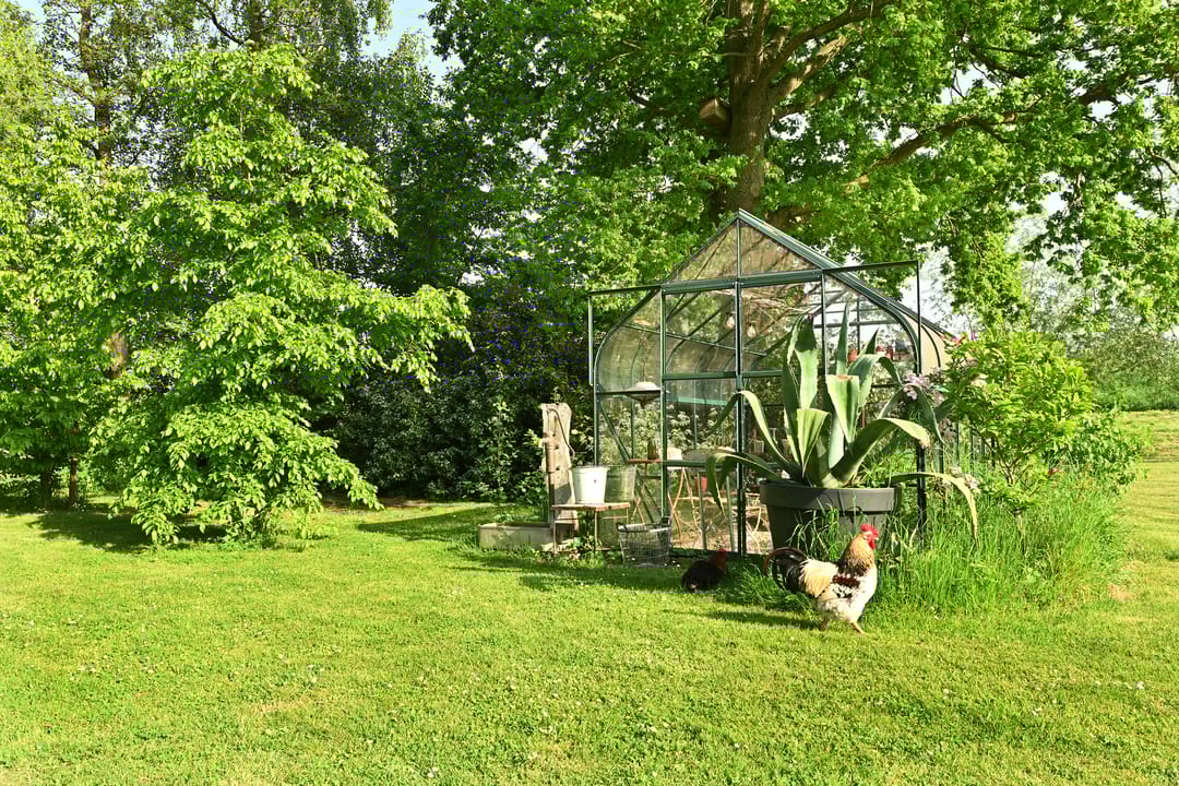 Foto 43 van Kleinedijk 4