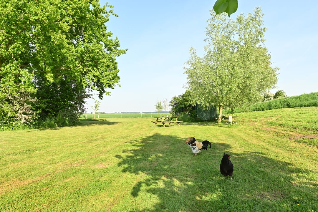 Foto 46 van Kleinedijk 4