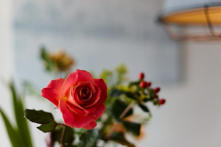 Foto 10 van Marnixstraat 53