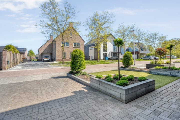 Foto 44 van De Richter 2