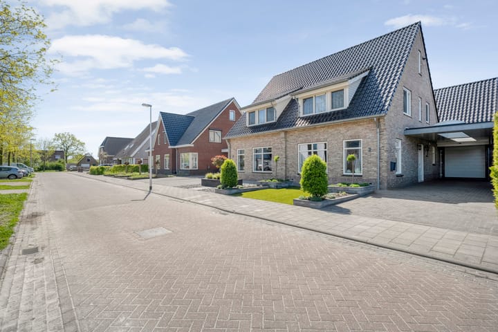 Foto 47 van De Richter 2