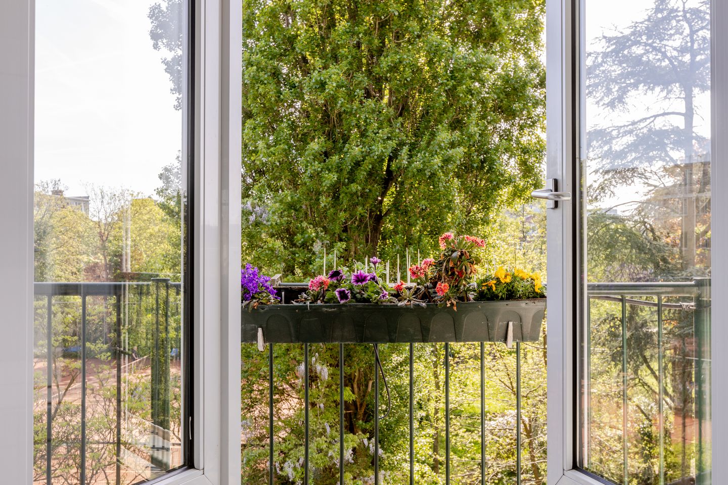 Foto 14 van Schepenstraat 28-C