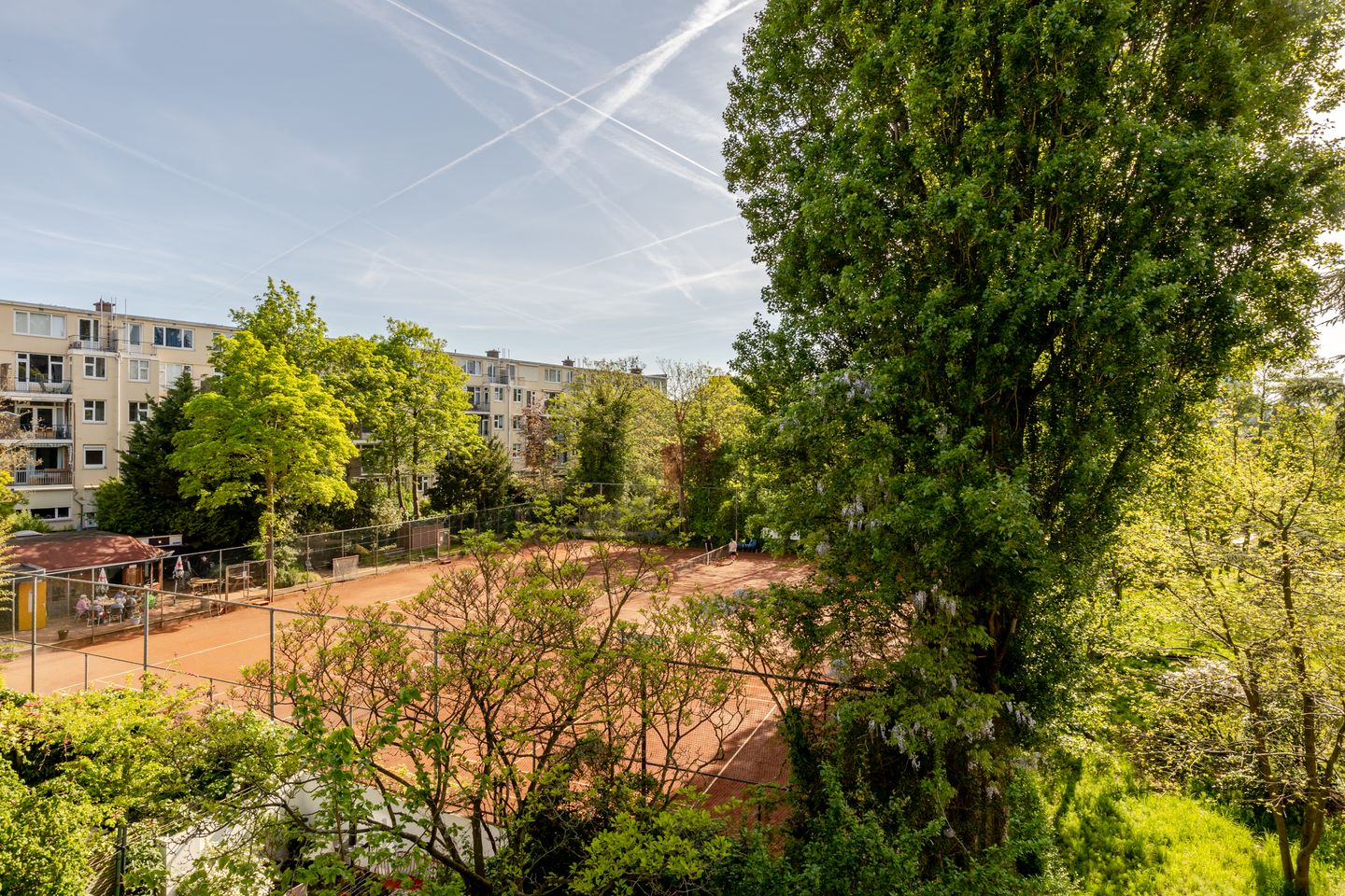 Foto 35 van Schepenstraat 28-C