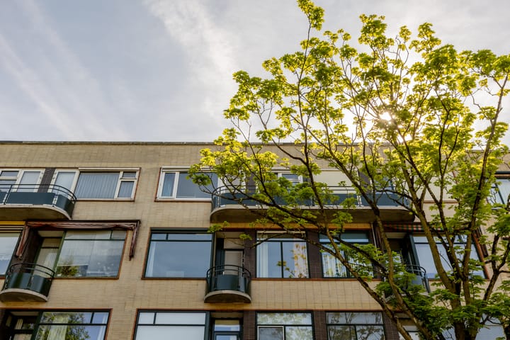 Foto 38 van Schepenstraat 28-C