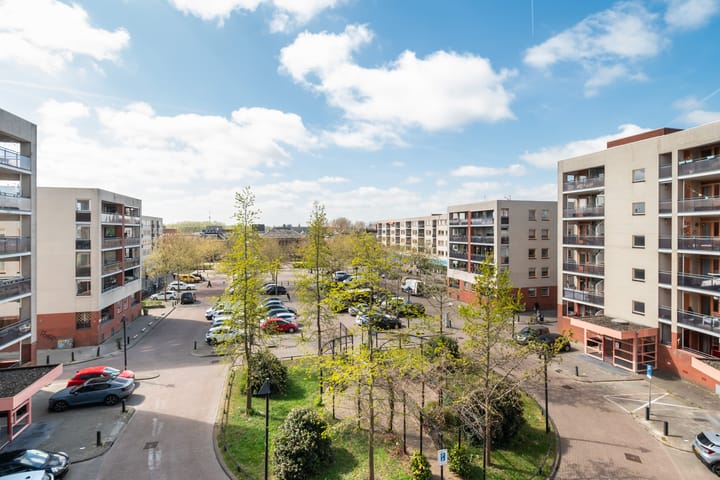 Foto 21 van Plantage 147