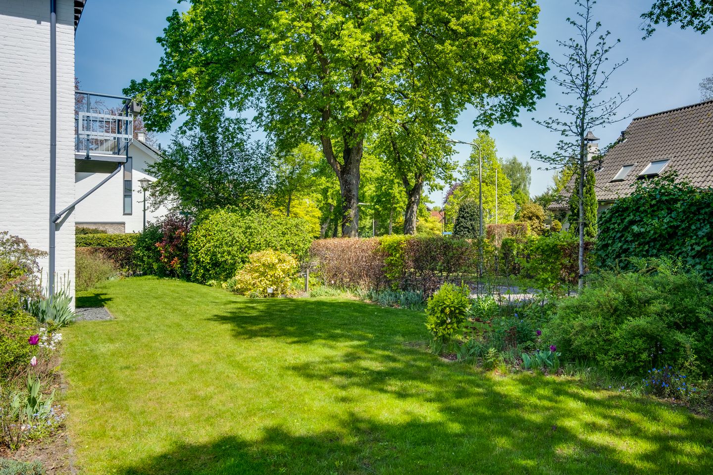 Foto 25 van van Lutterveltplein 10