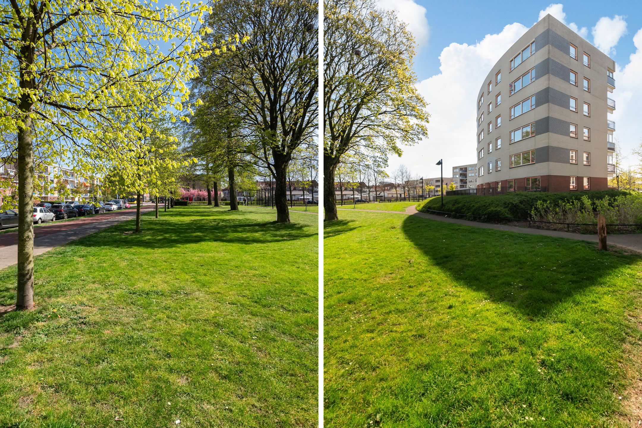 Photo 33 of Plantage 147