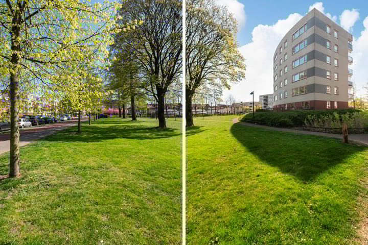 Foto 33 van Plantage 147