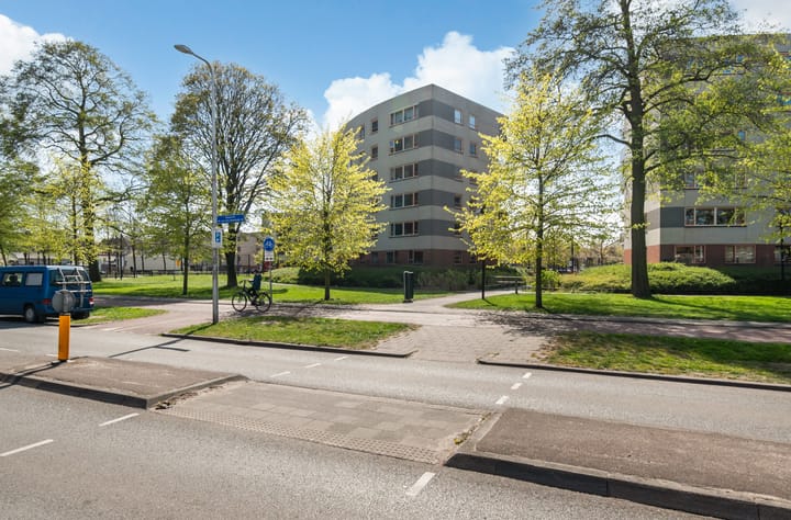 Foto 36 van Plantage 147