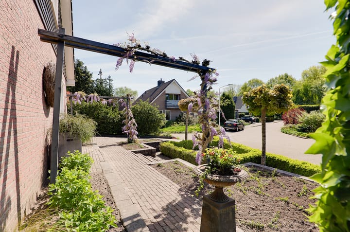 Foto 30 van Buitenes 7