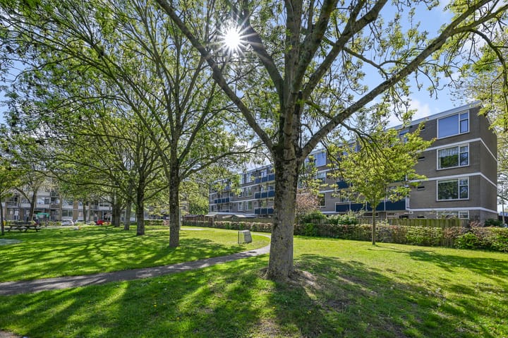 Foto 5 van Goudenregenplantsoen 30