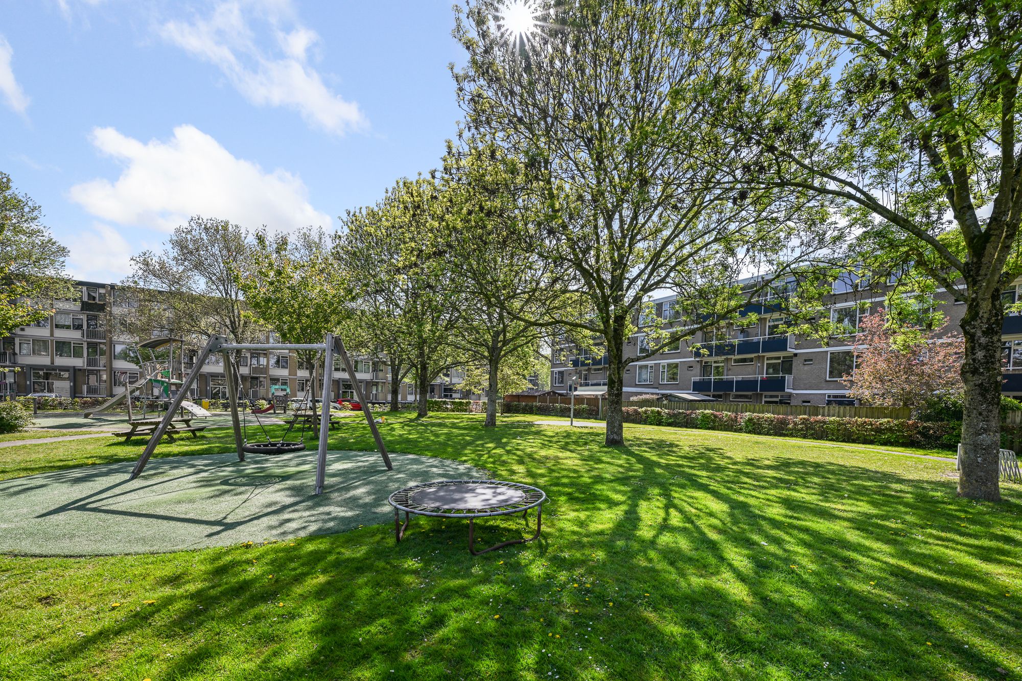 Foto 24 van Goudenregenplantsoen 30