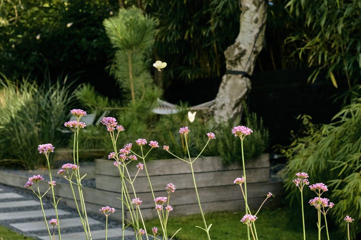 Foto 52 van Vinkenkade 7-F