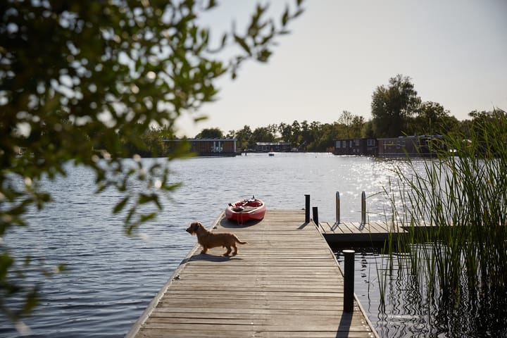 Foto 60 van Vinkenkade 7-F