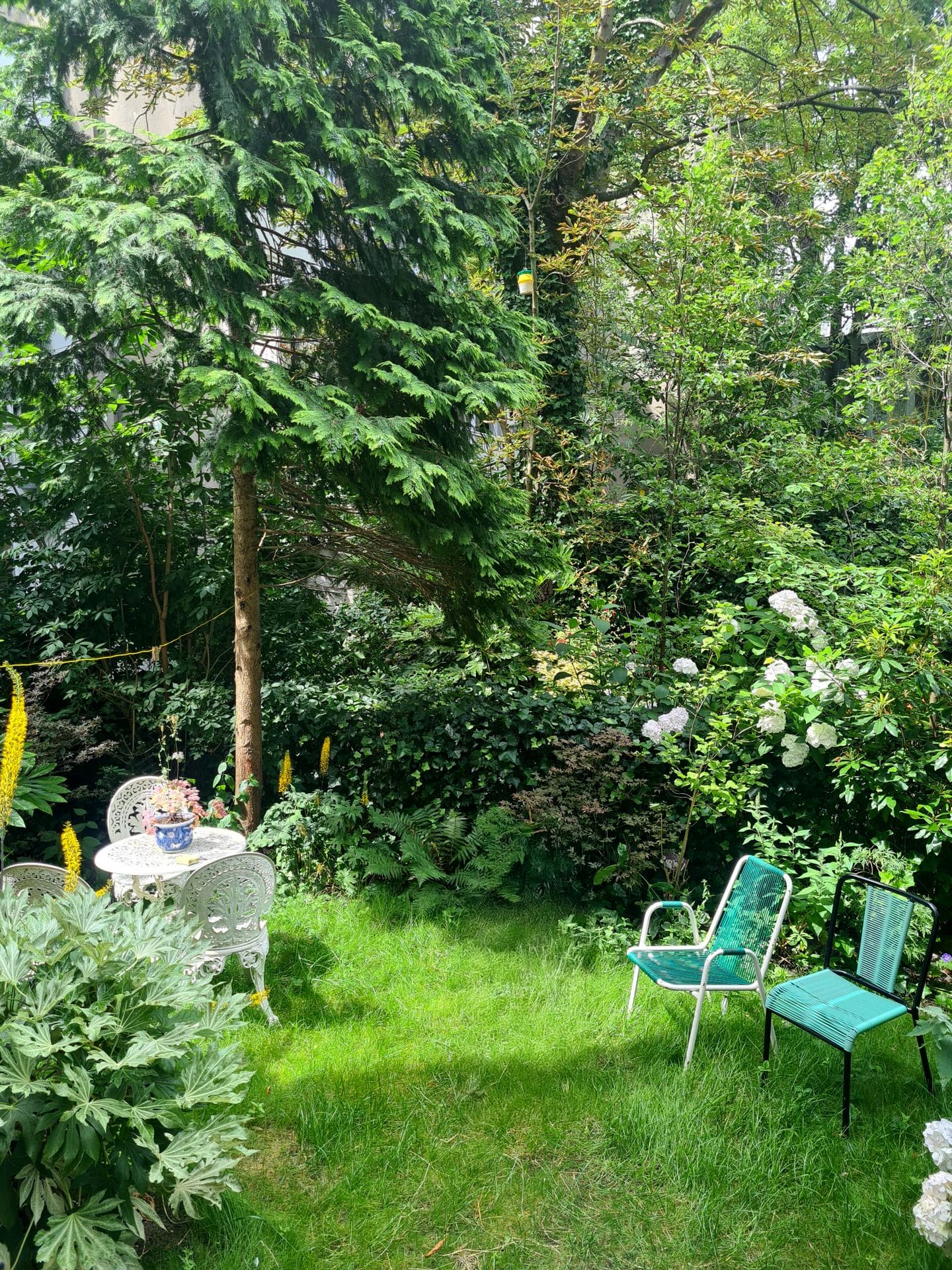 Foto 19 van Reinwardtstraat 5-A