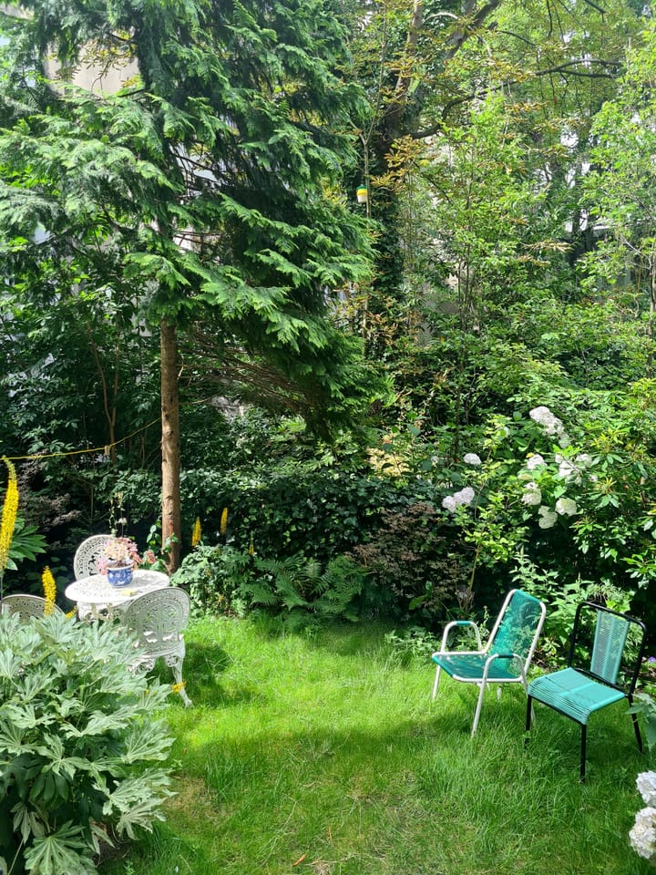 Foto 19 van Reinwardtstraat 5-A