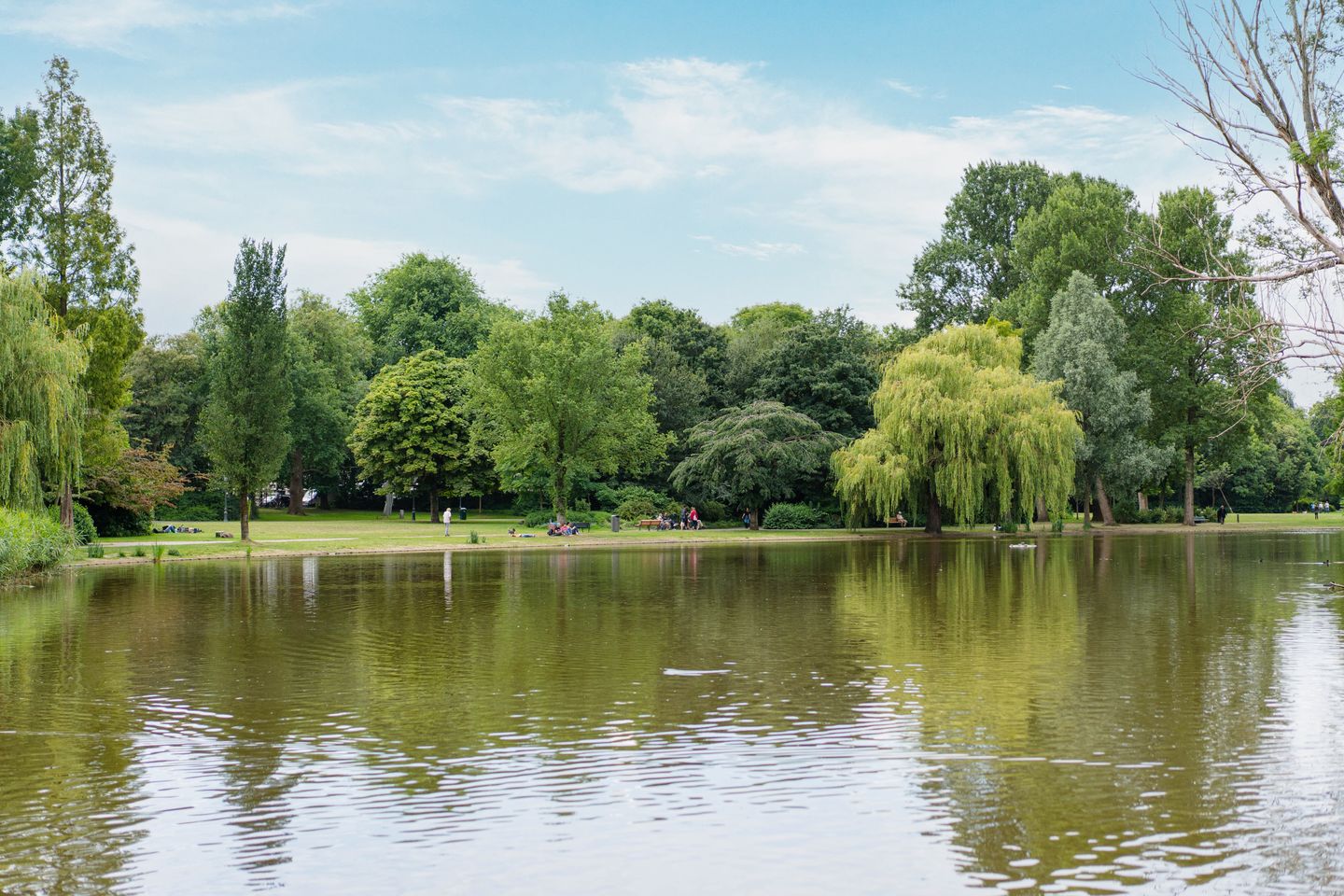 Foto 35 van Reinwardtstraat 5-A