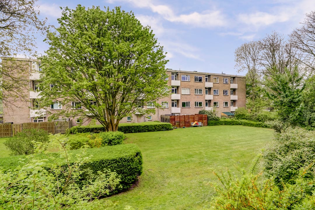 Photo 11 of Lievenshof 31