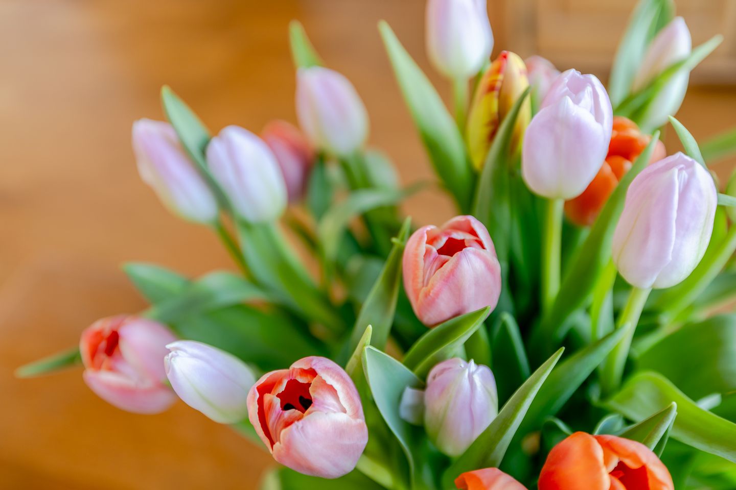 Foto 14 van Overweerse polderdijk 46