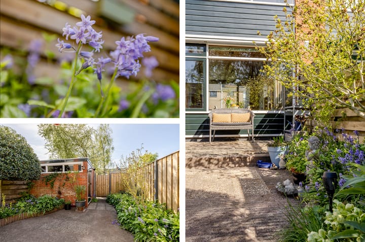 Foto 32 van Overweerse polderdijk 46