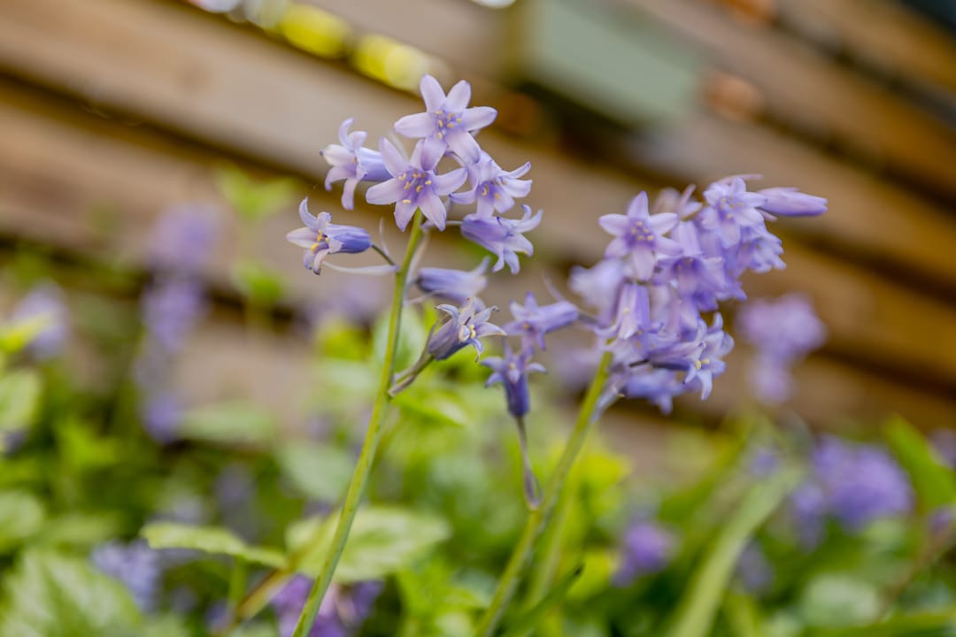 Foto 38 van Overweerse polderdijk 46