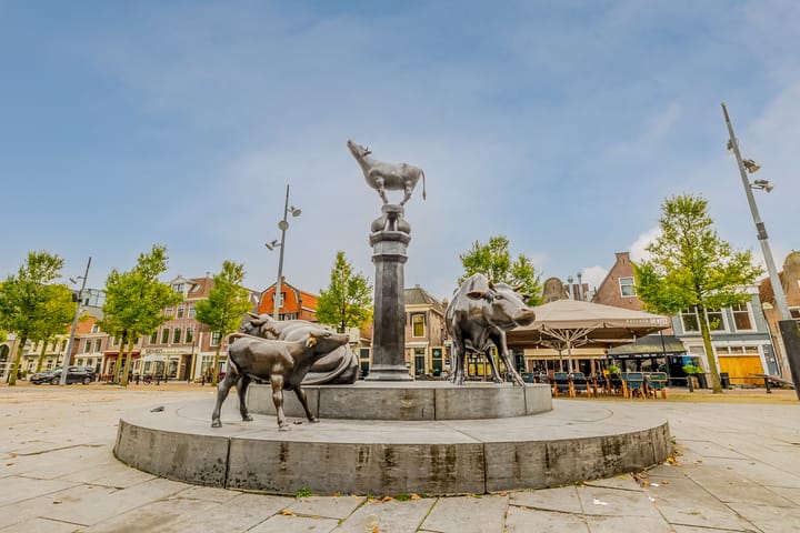 Foto 45 van Overweerse polderdijk 46