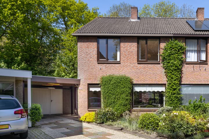 Foto 1 van De Ara 45