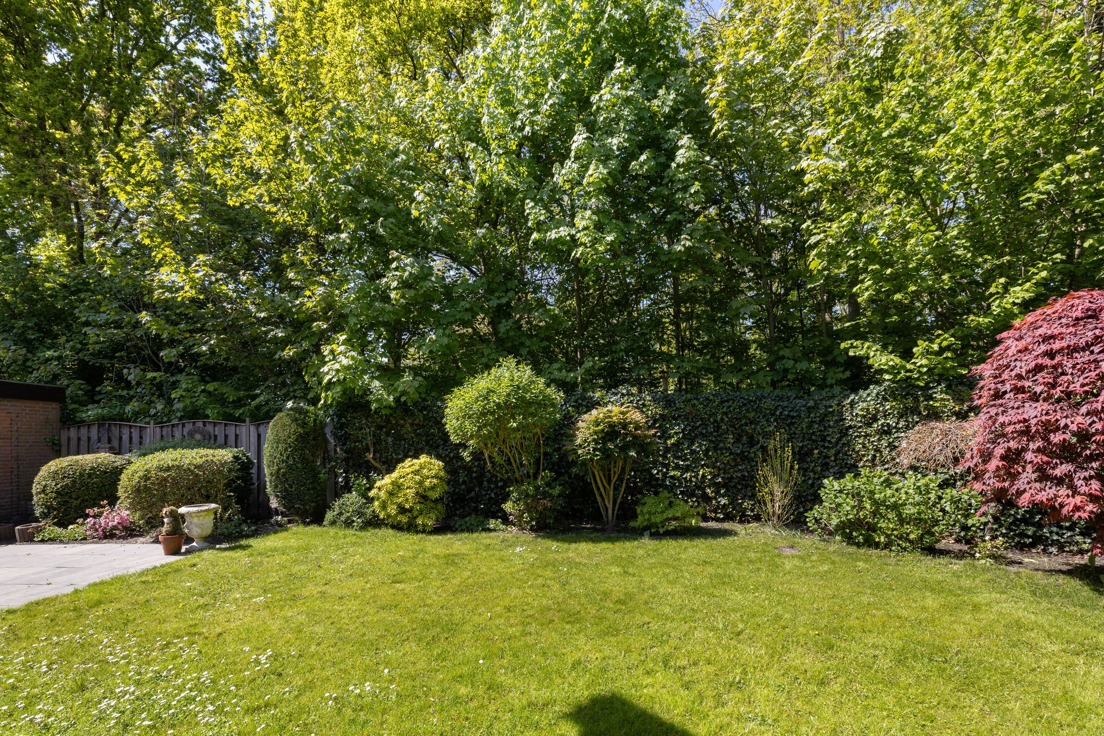 Foto 21 van De Ara 45