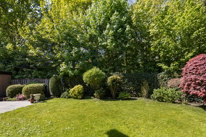 Foto 21 van De Ara 45