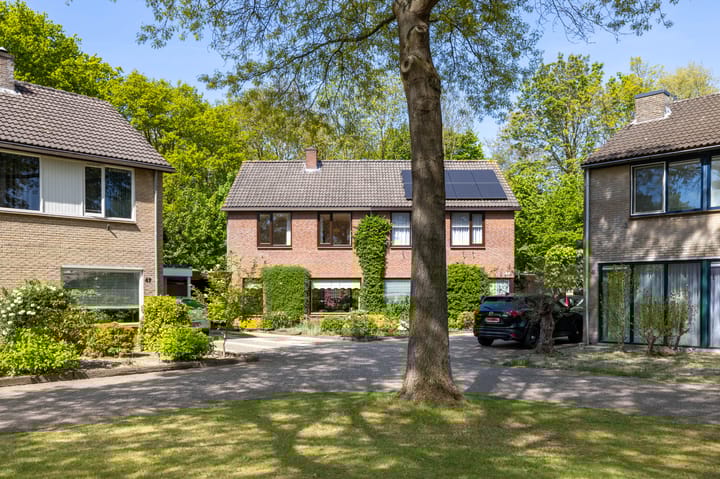 Foto 25 van De Ara 45