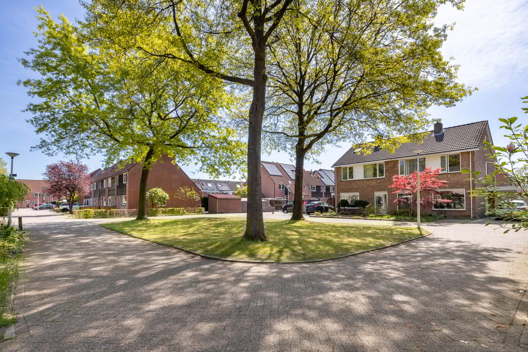 Foto 26 van De Ara 45