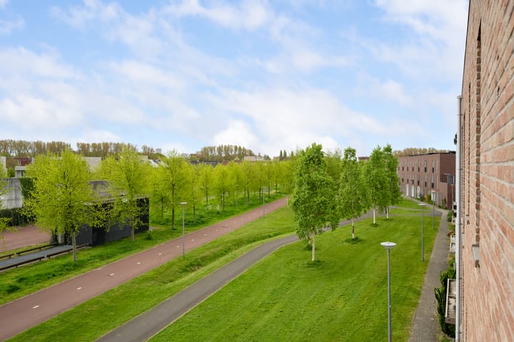 Foto 35 van Einthovenpad 41