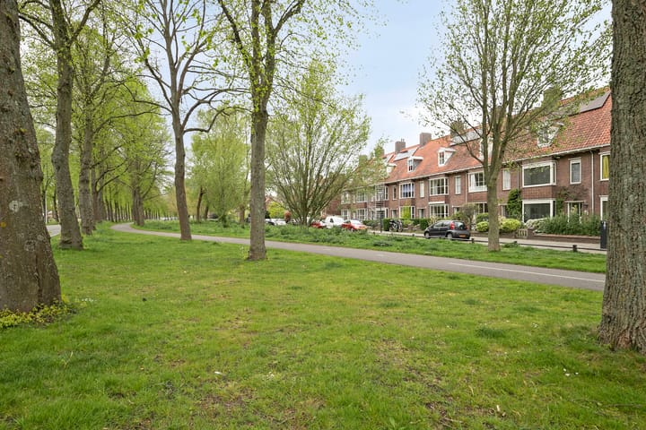 Foto 24 van Cosijnstraat 25