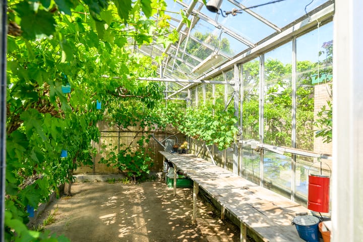 Foto 14 van Groeneweg 85