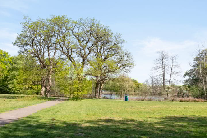 Foto 40 van Jan Steenstraat 44