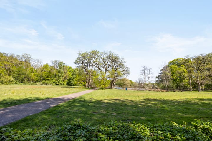 Foto 41 van Jan Steenstraat 44